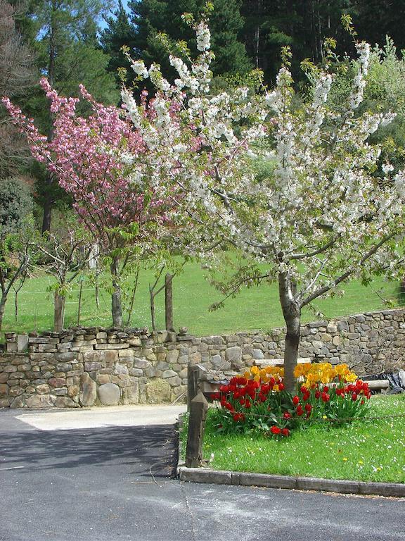 Haras Aritza Otel Ojedo Oda fotoğraf